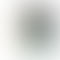 Xiaomi Redmi A5 - Refurbished_Jaisalmer Gold_Phone With Box_63086