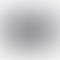 Dell Latitude 5000 Series 5320 TOUCH SCREEN (Intel Core i5 11th Gen 13.3 Inch)- Refurbished_Gray_Back_63803