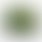 thumbnail_0