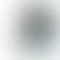 Vivo Y300 5G - Refurbished_Titanium Silver_Phone With Box_57492