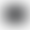 PD Image