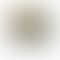 Latitude 5000 Series 5420 (Intel Core i7 11th Gen 14 Inch)- Refurbished_Gray_Front_54643
