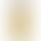OPPO Reno8T 5G -Sunrise gold-front