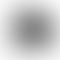 HP/Compaq HP 14 Series 14-ck2018TU (Intel Core i5 10th Gen 14 Inch)- Refurbished_Black_Back_60362