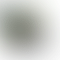 thumbnail_0