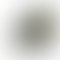 thumbnail_0