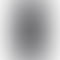 Vivo X200 Pro - Refurbished_Cosmos Black_Back_60048