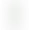 OnePlus Nord 2 5G - Refurbished_Green Wood_Right Side_55874