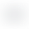 thumbnail_2