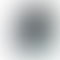 Vivo Y300 Plus 5G - Refurbished_Silk Black_Phone With Box_57502