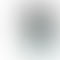 OnePlus Nord 5 - Refurbished_Marble Sands_Phone With Box_63868