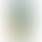 Realme 11 Pro Plus 5G -Oasis green-front