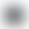 Precision Series 5560 (Intel Core i7 11th Gen 15.6 Inch)- Refurbished_All_Others_48512