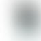 Apple iPhone 16e - Refurbished_White_Phone With Box_59413