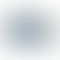 PD Image
