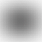 PD Image