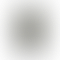 thumbnail_0