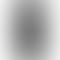 Vivo V29 Pro -space black-back