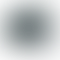 PD Image