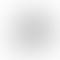 Lenovo ideapad Slim 5 Series 14IRL8 (Intel Core i5 13th Gen 14 Inch)- Refurbished_Silver_Back_62293