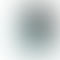 Vivo V40 - Refurbished