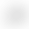 HP/Compaq Elitebook Series 840 G8 (Intel Core i7 11th Gen 14 Inch)- Refurbished_Silver_Back_63999
