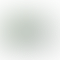 thumbnail_0
