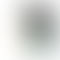 Vivo T2 Pro 5G - Refurbished