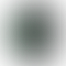 PD Image
