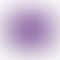 PD Image