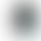 Vivo X200 Pro - Refurbished_Titanium Gray_Phone With Box_61058