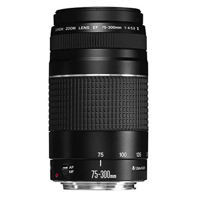 Certified Refurbished Canon EF 75-300mm f/4-5.6 III | 6-Month