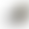 thumbnail_1