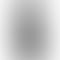 Vivo V50 - Refurbished_Titanium Grey_Back_61903