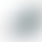 PD Image