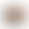 thumbnail_1