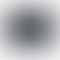 PD Image