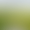 thumbnail_2