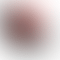 thumbnail_1