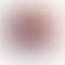 thumbnail_1