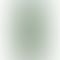 OnePlus Nord 2 5G - Refurbished_Green Wood_Back_55887