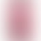 Vivo V50 - Refurbished_Rose Red_Front_61899