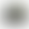 PD Image