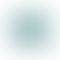SilverFront