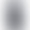 Vivo Y300 Plus 5G - Refurbished_Silk Black_Back_57494