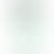 Google Pixel 8 Pro - Refurbished_Mint_Back_62585