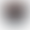 PD Image