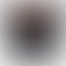 PD Image
