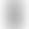 Samsung Galaxy Z Fold6 5G -Silver shadow-back