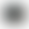 PD Image